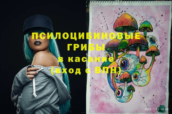ГАЛЛЮЦИНОГЕННЫЕ ГРИБЫ Россошь