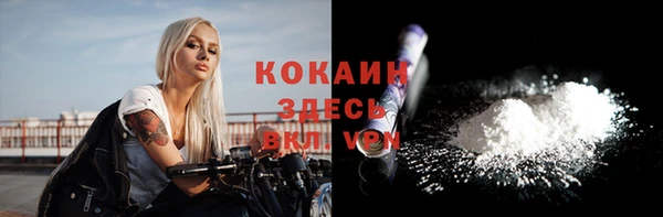 прущие крисы Рославль