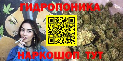 СК Пугачёв