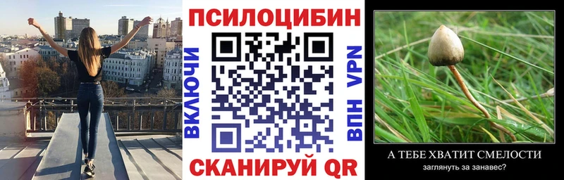 Галлюциногенные грибы GOLDEN TEACHER  hydra ONION  Тихорецк 