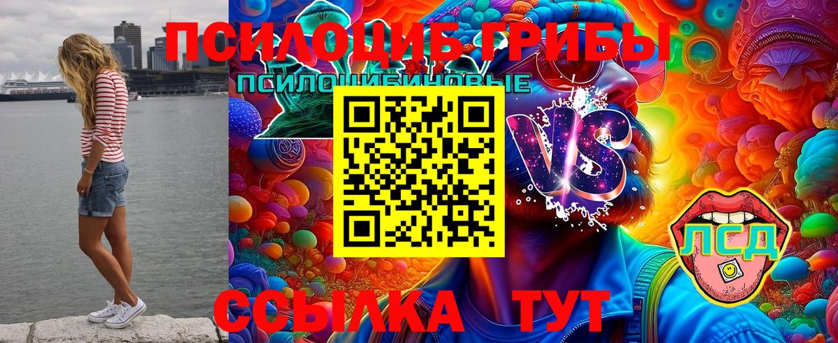 где продают наркотики  Вход с VPN  Галлюциногенные грибы Psilocybine cubensis  Тихорецк  Галлюциногенные грибы Cubensis 